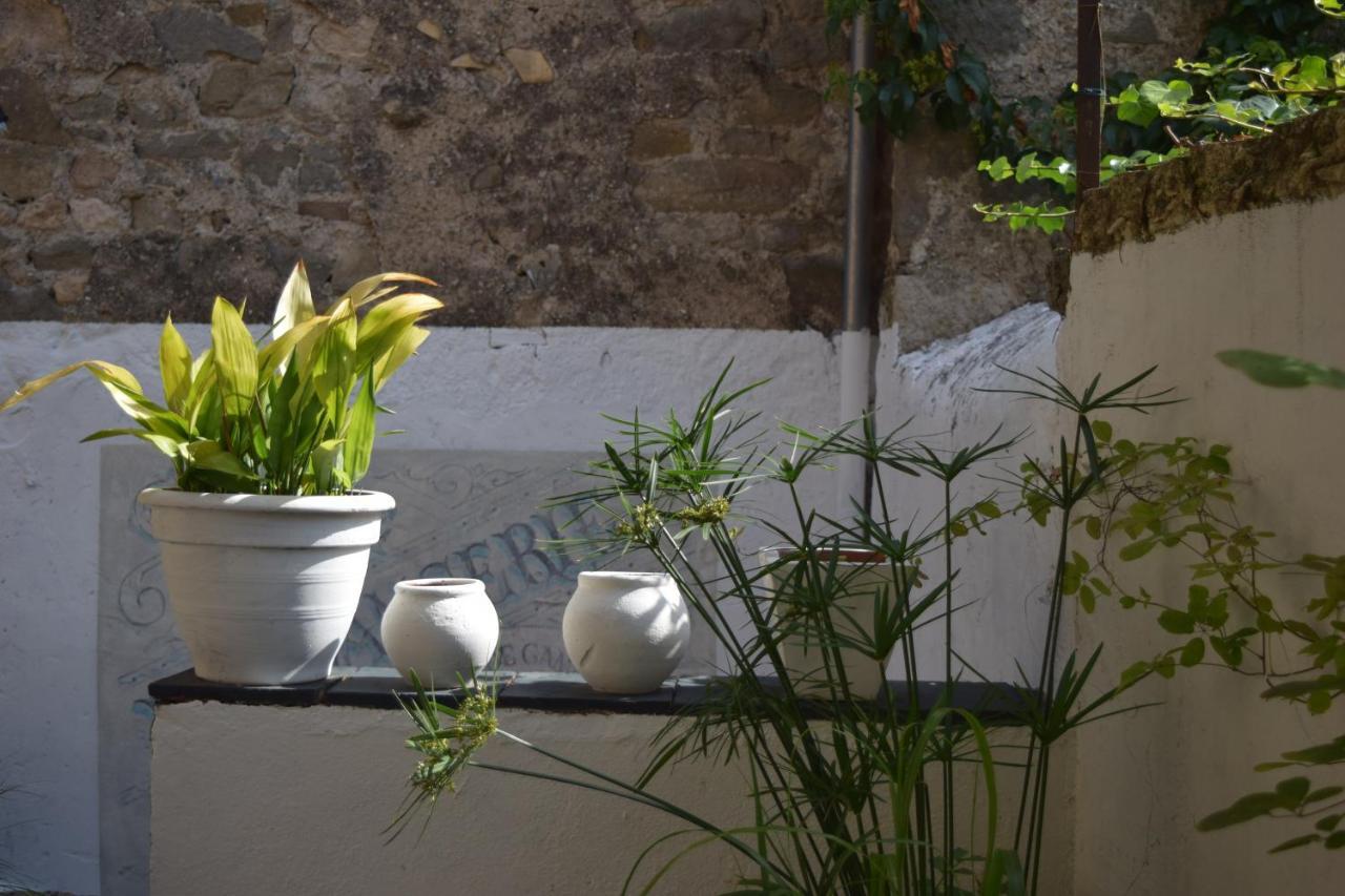 L'Ancienne Boulangerie Bed & Breakfast Caunes-Minervois ภายนอก รูปภาพ